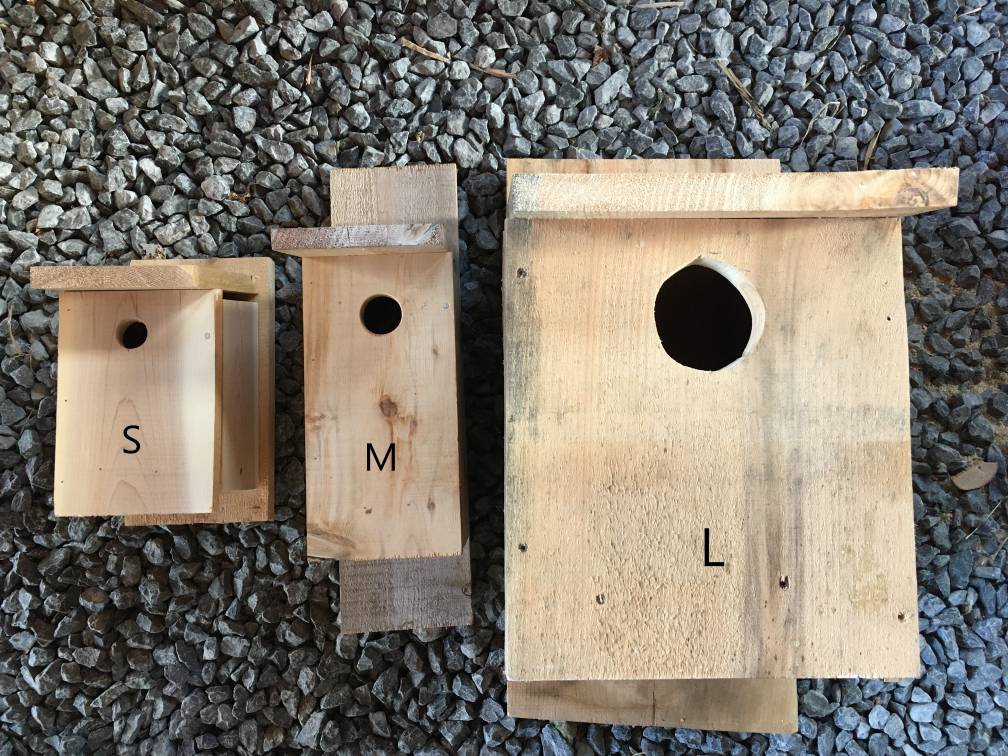bird houses with size