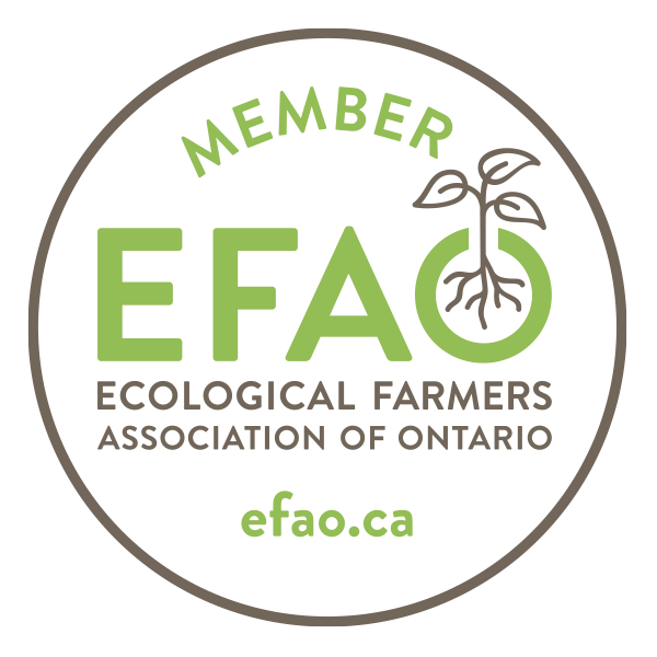 EFAO-member-logo